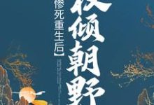 苏非烟轩辕瑾小说在哪里可以看-个性文学