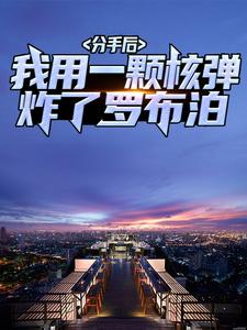 完结版《分手后，我用一颗核弹炸了罗布泊》章节阅读