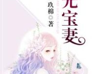 小说《珠光宝妻》章节阅读-个性文学