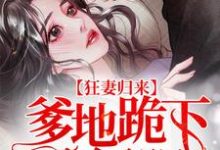 《狂妻归来：爹地跪下唱征服》小说章节在线试读，《狂妻归来：爹地跪下唱征服》最新章节目录-个性文学