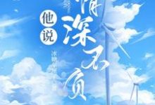 完结版《他说情深不负》章节目录在线阅读-个性文学