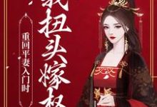 完结版《重回平妻入门时，我扭头嫁权王》免费阅读-个性文学