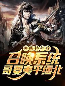 完结版《唤醒特种兵召唤系统，哥要夷平缅北》在线免费阅读