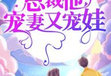 完结版《婚途漫漫：总裁他宠妻又宠娃》章节目录在线阅读-个性文学