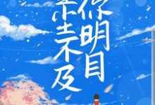 小说《星尘不及你明目》章节免费阅读-个性文学