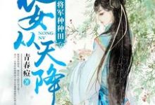 农女从天降：拐个将军种种田小说，农女从天降：拐个将军种种田在线阅读-个性文学