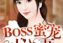 小说《BOSS蜜宠小小妻》在线章节阅读-个性文学