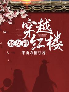 已完结小说《穿越红楼娶女神》章节在线阅读