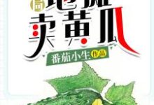 完结版《开局地摊卖黄瓜》章节阅读-个性文学