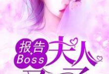 在线寻找沈千歌阎默寒汤少龙的小说，报告Boss：夫人又怀了免费阅读-个性文学