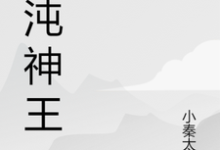 混沌神王小说有没有完整的免费版本在线阅读？-个性文学