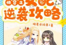 完结版《快穿之女配逆袭攻略》章节阅读-个性文学