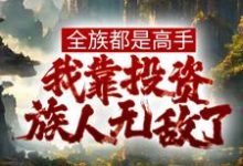 《全族都是高手，我靠投资族人无敌了》全集免费在线阅读（姜道玄）-个性文学