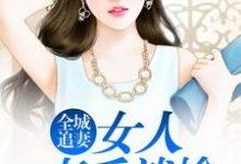 小说《全城追妻：女人束手就擒》在线章节阅读-个性文学