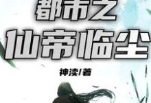 完结版《都市之仙帝临尘》免费阅读-个性文学