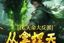 我，天命大反派，从拿捏天道开始章节免费在线阅读，紫霄完结版-个性文学