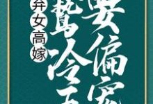 弃女高嫁：阴鸷冷王要偏宠洛殇冷邵玉，弃女高嫁：阴鸷冷王要偏宠小说免费阅读-个性文学