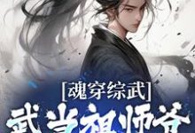 已完结小说《魂穿综武：武当祖师爷出山了》在线章节阅读-个性文学