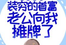 苏恩明燕的完整故事在哪里？读闪婚超甜：装穷的首富老公向我摊牌了小说-个性文学