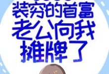 闪婚超甜：装穷的首富老公向我摊牌了小说，闪婚超甜：装穷的首富老公向我摊牌了在线阅读-个性文学