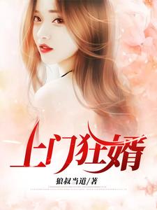 完结版《上门狂婿》章节目录在线阅读