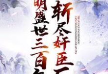 已完结小说《斩尽奸臣后，大明盛世三百年》章节免费阅读-个性文学