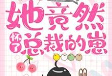 完结版《一夜情后，她竟然怀了总裁的崽》章节目录在线阅读-个性文学