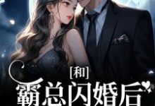 梁瓷傅司州的故事在哪本书里？免费阅读和霸总闪婚后，娇娇被强宠了-个性文学