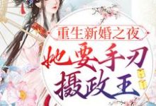 《重生新婚之夜，她要手刃摄政王》小说大结局免费试读 宋音书萧御辞小说-个性文学