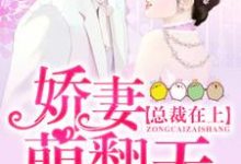 完结版《总裁在上：娇妻萌翻天》章节阅读-个性文学