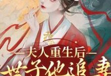 《夫人重生后，世子他追妻火葬场了》小说章节在线试读，《夫人重生后，世子他追妻火葬场了》最新章节目录-个性文学