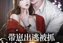 完结版《带崽出逃被抓：老婆，你不乖》章节目录在线阅读-个性文学