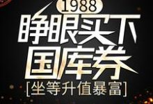 1988：睁眼买下国库券，坐等升值暴富小说的免费阅读版本在哪里可以找到？-个性文学