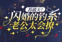 小说《苏破天！闪婚的钓系老公太会撩》章节阅读-个性文学