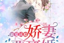 完结版《霸爱成瘾：娇妻要离婚》章节阅读-个性文学