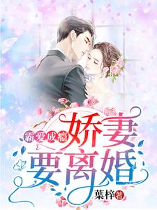 完结版《霸爱成瘾：娇妻要离婚》章节阅读