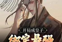 完结版《开局成皇子，绑定最强开挂系统》免费阅读-个性文学