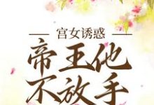 宫女诱惑，帝王他不放手（姜楚沈钧）在线免费阅读-个性文学