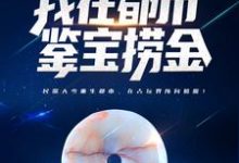 完结版《穿越百年，我在都市鉴宝捞金》章节阅读-个性文学