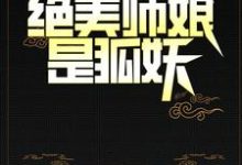 主角陈九胡眉小说完结版在线阅读，阴阳先生：绝美师娘是狐妖免费看-个性文学