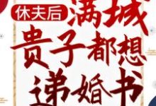 休夫后，满城贵子都想递婚书（沈宁）在线免费阅读-个性文学