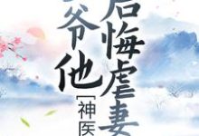 神医弃妃：王爷他后悔虐妻了免费阅读，神医弃妃：王爷他后悔虐妻了章节目录-个性文学