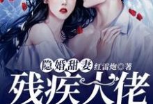 《隐婚甜妻，残疾大佬的心尖宠》全集免费在线阅读（唐染战云琛）-个性文学