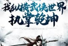 完结版《重生：我纵横武侠世界，执掌乾坤》在线免费阅读-个性文学