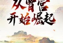 三国：从曹营开始崛起小说，三国：从曹营开始崛起章节在线阅读-个性文学