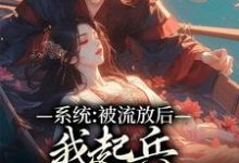 已完结小说《系统：被流放后，我起兵夺走皇位》章节在线阅读-个性文学