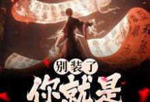 完结版《别装了！你就是剑道至尊》章节目录在线阅读-个性文学