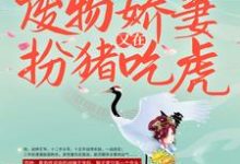 小说《战王接嫁：废物娇妻又在扮猪吃虎》章节免费阅读-个性文学