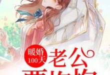 暖婚100天：老公要抱抱小说阅读，暖婚100天：老公要抱抱完结版-个性文学