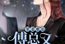 完结版《罪妻难追：傅总又被拉黑了》章节阅读-个性文学